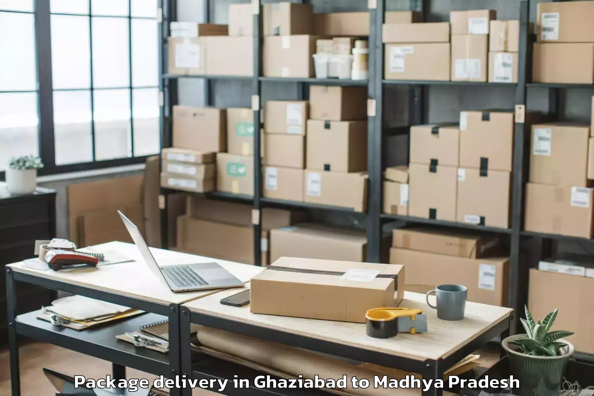 Quality Ghaziabad to Porsa Package Delivery